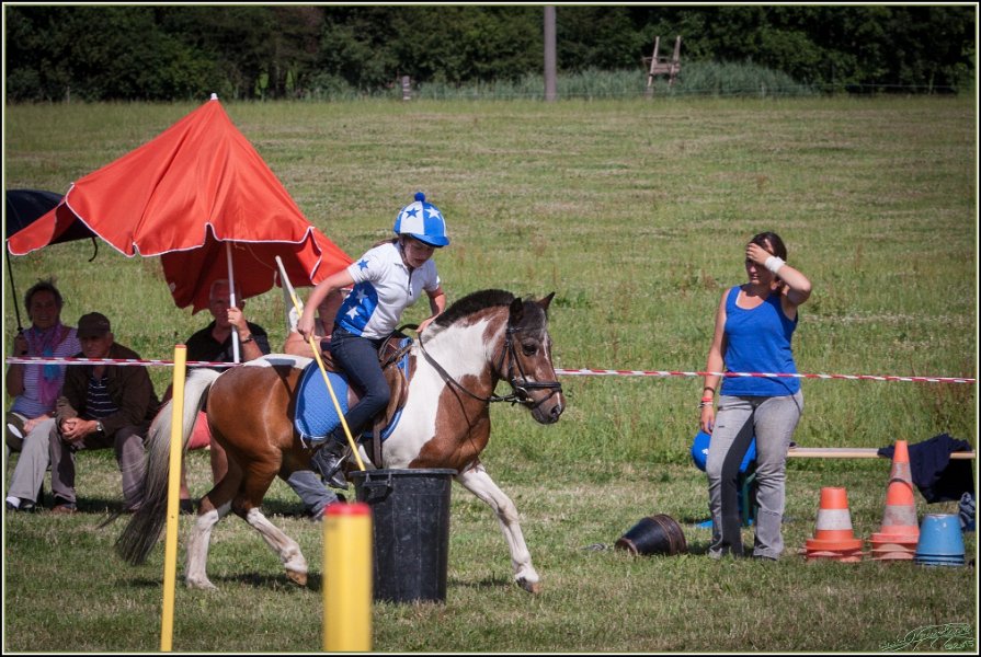 Mounted Games 290